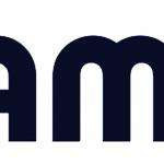 Damsi