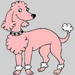 Lechienrose