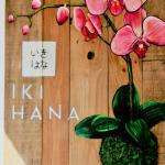 Ikihana