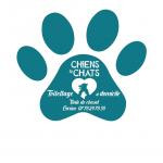 Chienetchat