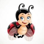 Coccinelle46