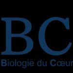 Bch