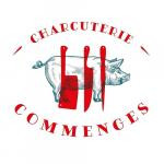 Commenges09