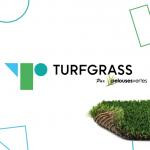 Turfgrass