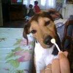Babou59554