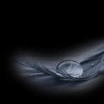 Lie21