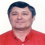 Michelsaulni