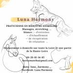 Lunaharmony