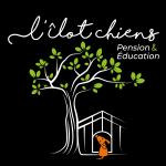 Lilotchiens2