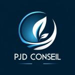 Pjdconseil11
