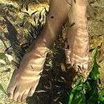 Docpoisson