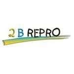 2brepro