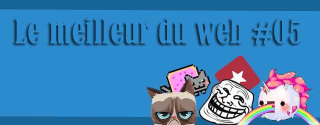 Le meilleur du web #05