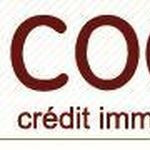 Cogitaux
