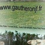 Gautheronjf