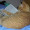 4babou