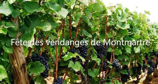 10 bonnes raisons d’aller à la fête des vendanges à Montmartre 