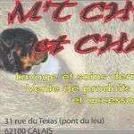 Mtchiens