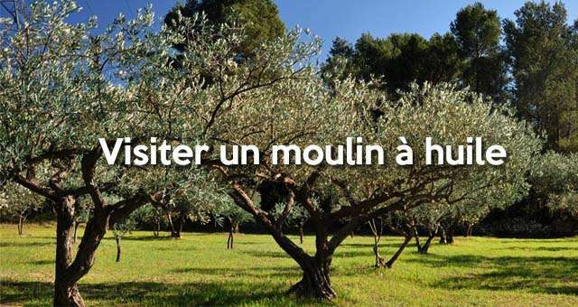 Note de Provence : visiter un moulin à huile à Coudoux
