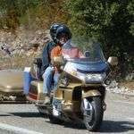 Goldwing13