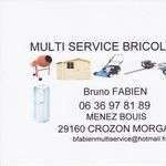 Brunocrozon