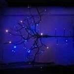 Illuminaires