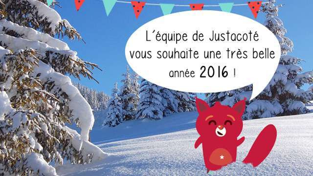 Bonne année 2016