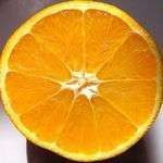 Perrigo