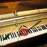 Pianofranck