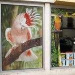 Oisellerie57