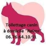 Toilettage51