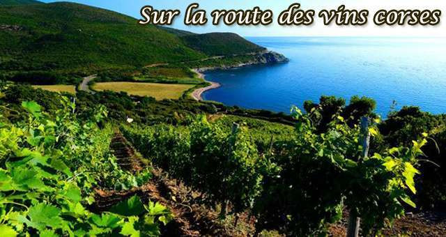Ivresse sur la route des vins corses 