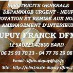 Dfms