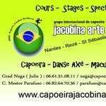 Jacobinaarte