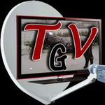 Telegrisel