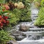 Patrickgiron