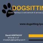 Dogsittingly