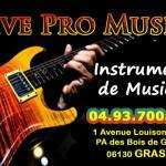 Livepromusic