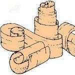 Toutbois