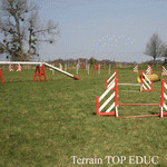 Topeduc
