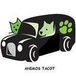 Animos