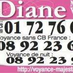 Dianevoyance