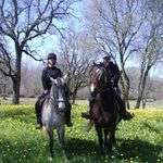 Heartland