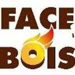 Faceobois1