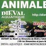 Dieval83