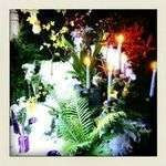 Tomdesfleurs