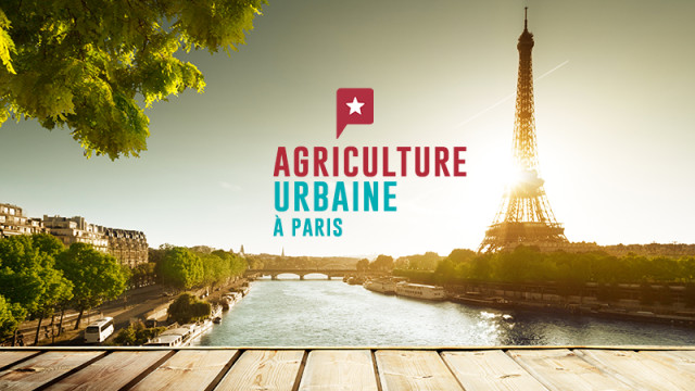 Paris se met à l'agriculture urbaine