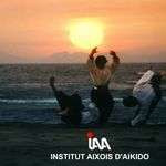 Aikidoaix