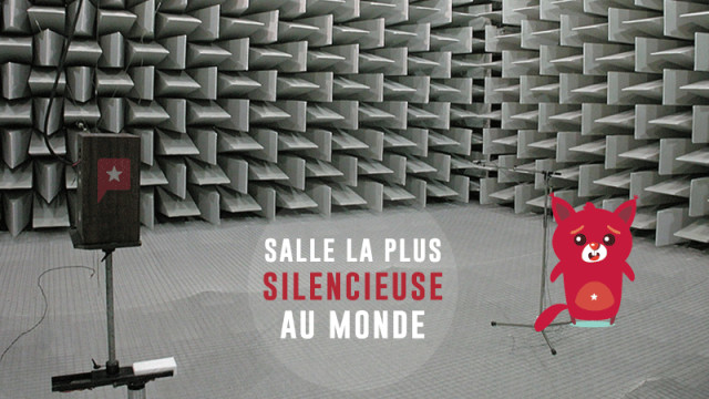 La salle la plus silencieuse du monde rend fou
