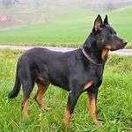Mitsy51